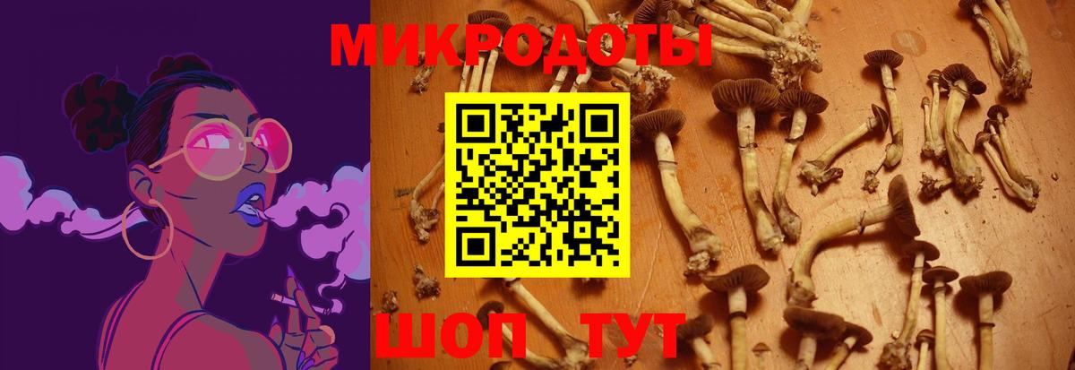 Галлюциногенные грибы MAGIC MUSHROOMS  Псилоцибиновые грибы мухоморы  что такое наркотик  Орёл  Вход с VPN 